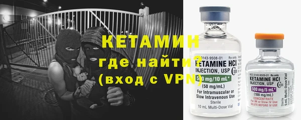 прущие грибы Хадыженск