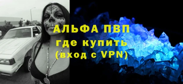прущие грибы Хадыженск