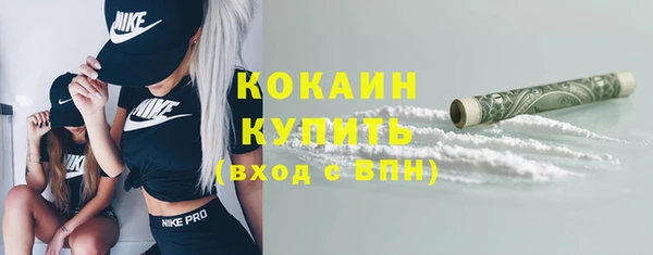 прущие грибы Хадыженск