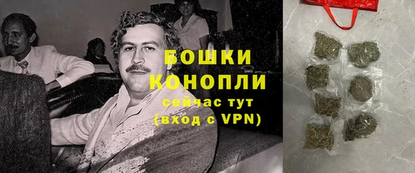 прущие грибы Хадыженск