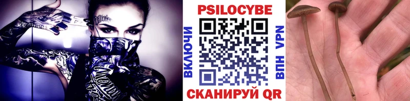 Псилоцибиновые грибы прущие грибы  Ухта 